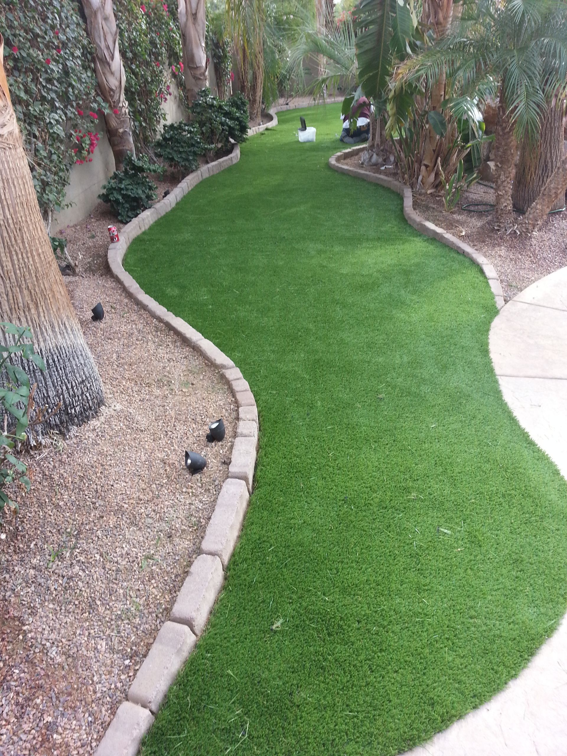 A lush green lawn is surrounded by trees and gravel in a backyard.