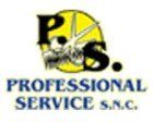 professional service logo
