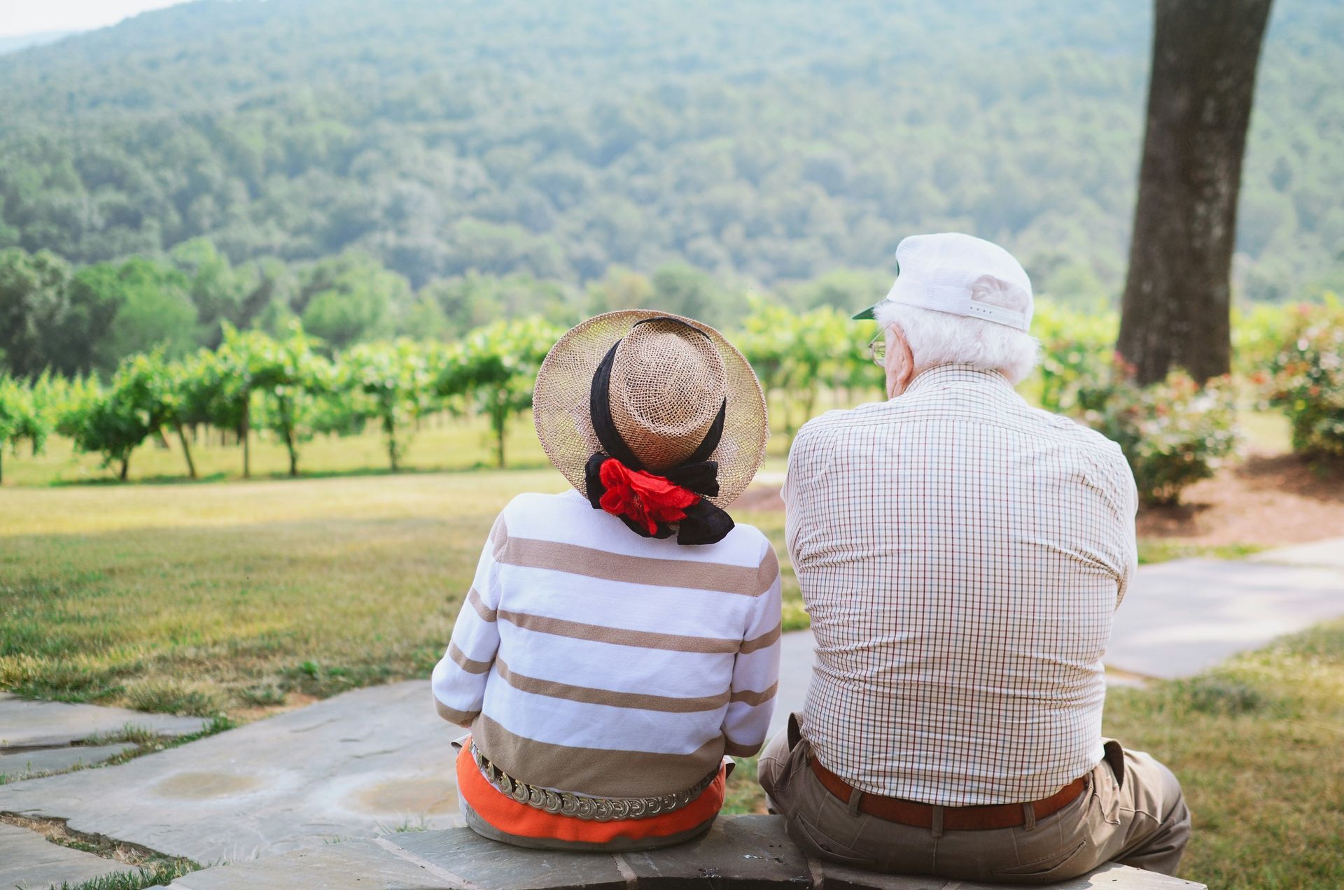 Two people sit side-by-side, looking at a vineyard and mountains. One wears a hat, the other a cap.