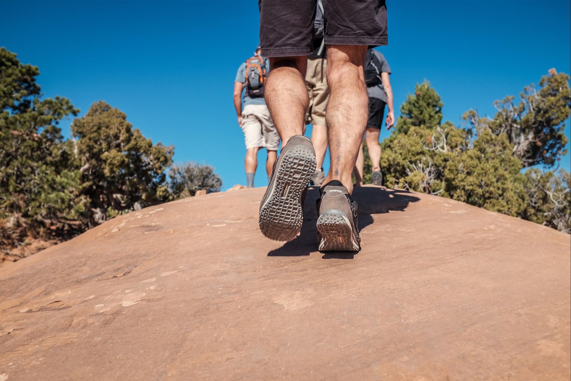 A group of people are hiking up a hill.