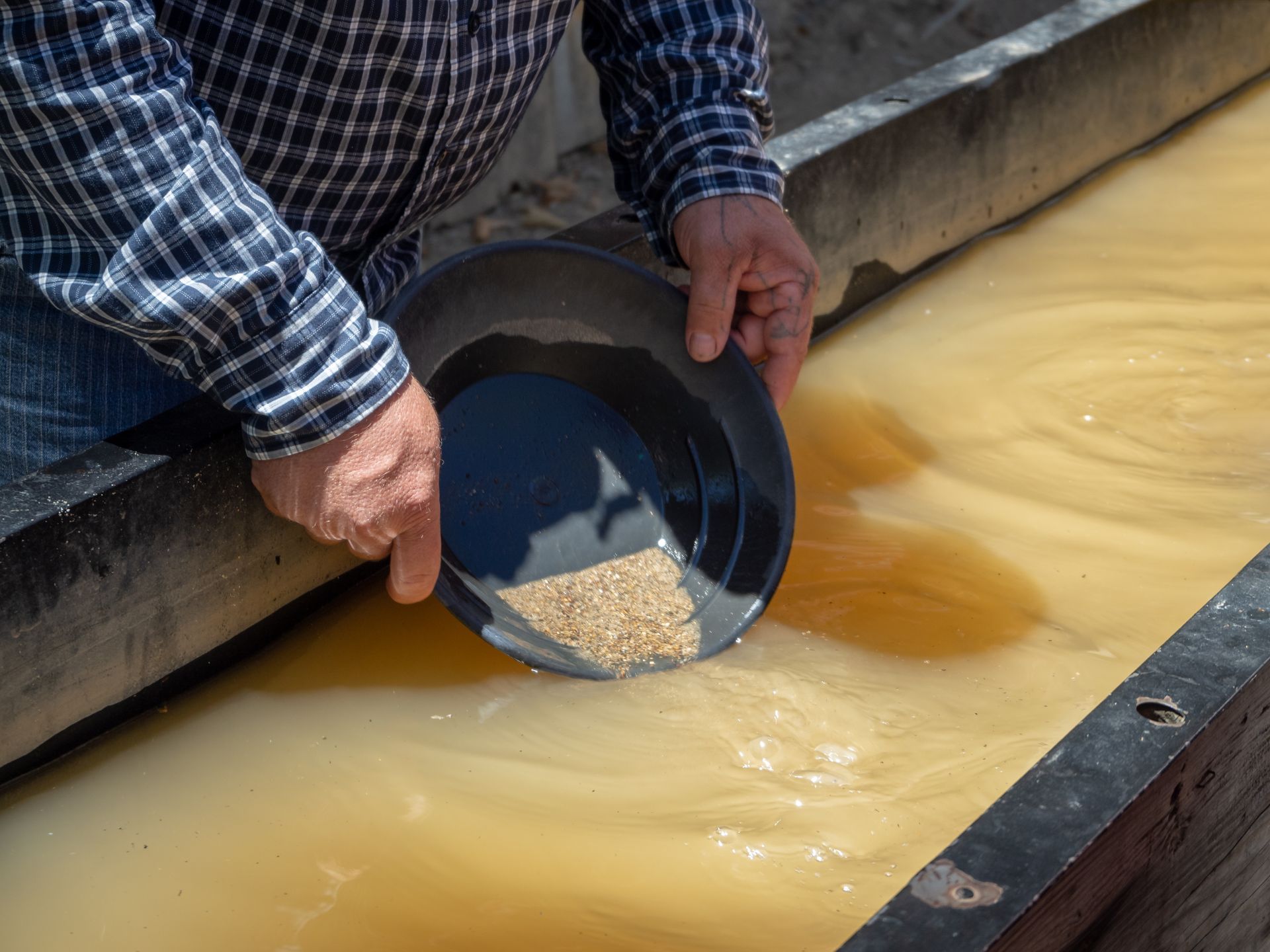 Person panning for gold in a trough of water; holding a black pan.
