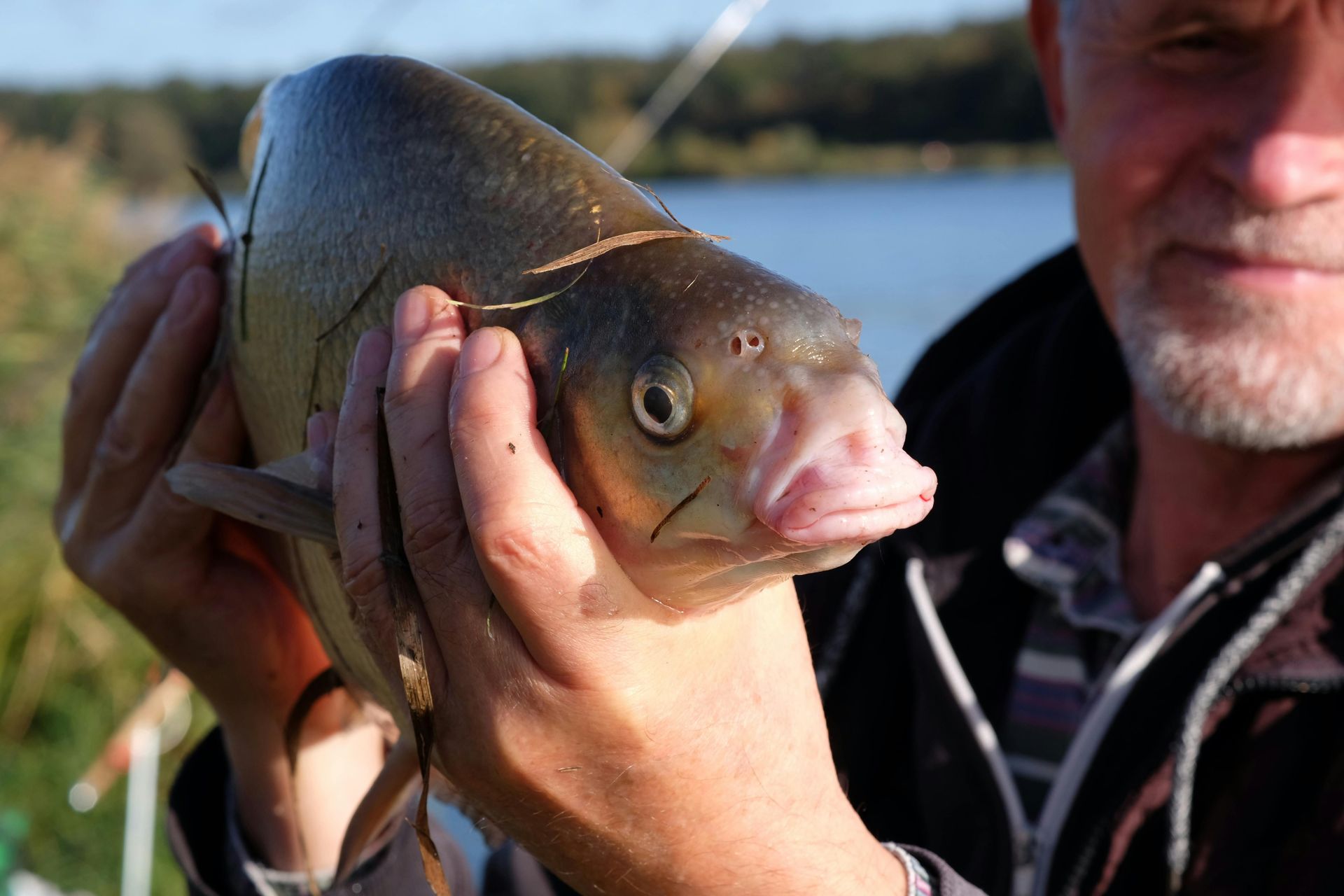 A man with a beard is holding a fish in his hands.