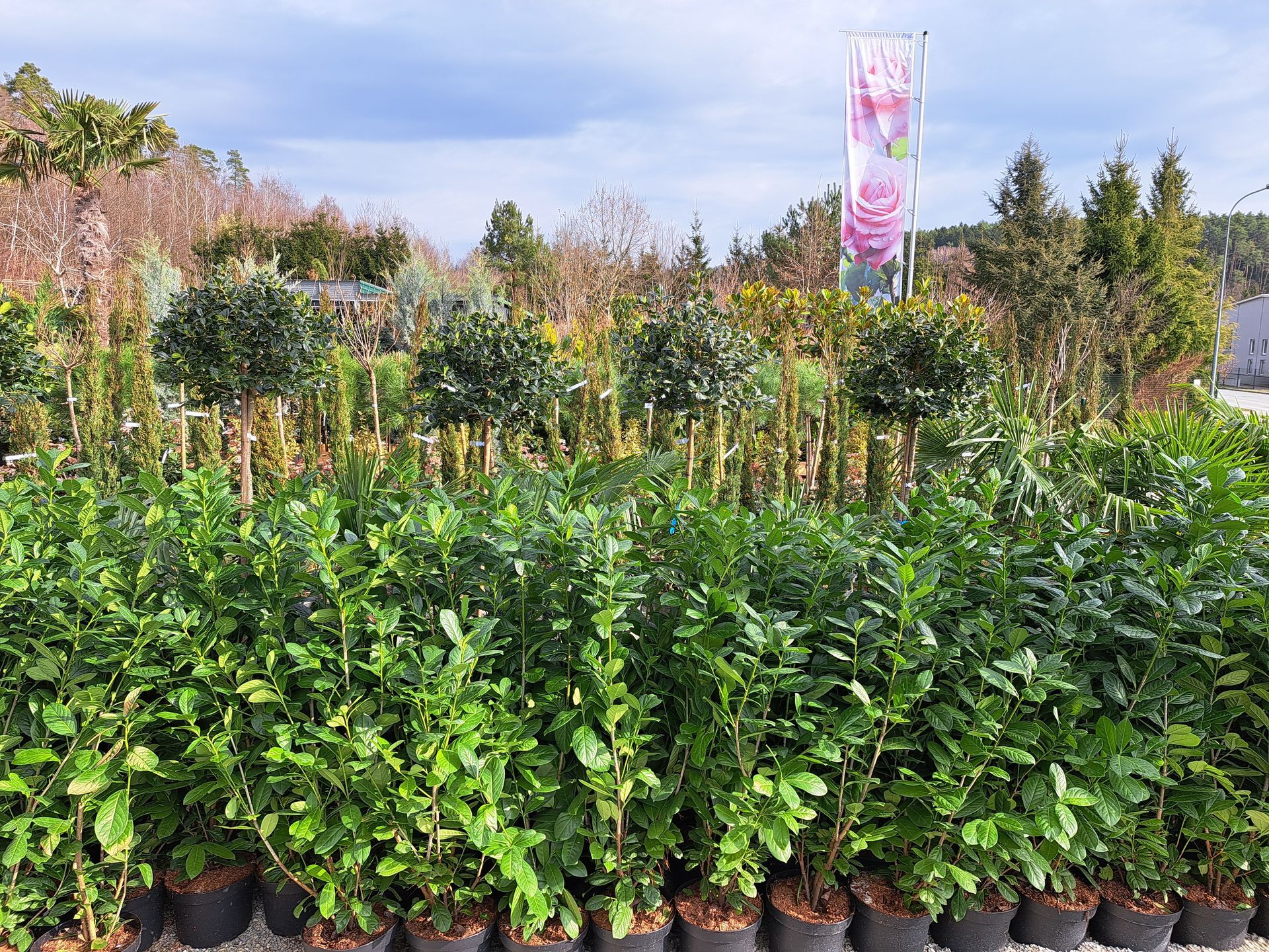 Eine Person schaufelt mit einer Schneefräse Schnee von einem Gehweg.