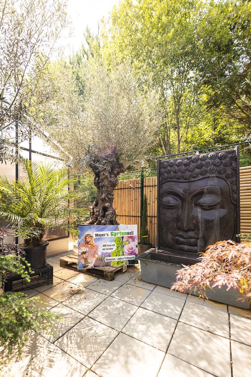 Auf einem grasbewachsenen Hügel steht ein weißes Haus.