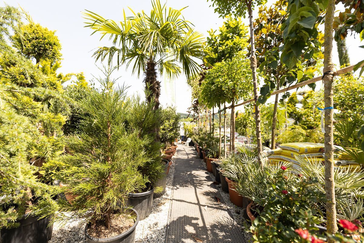 Zwei weiße Lieferwagen sind auf einem Schotterplatz geparkt.