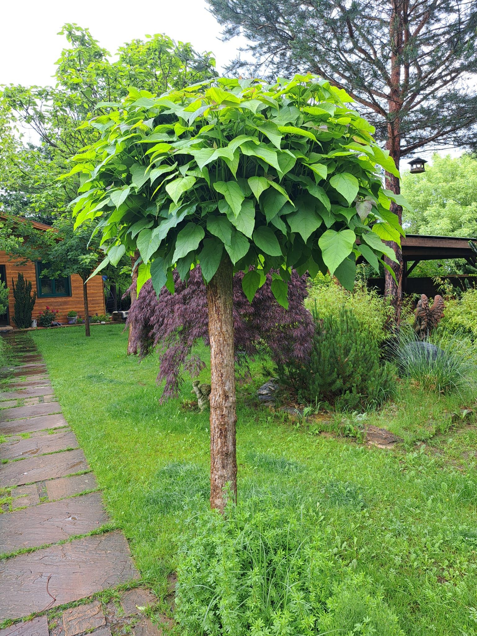 Eine Frau gibt einem Kind in einem Gewächshaus eine Topfpflanze.