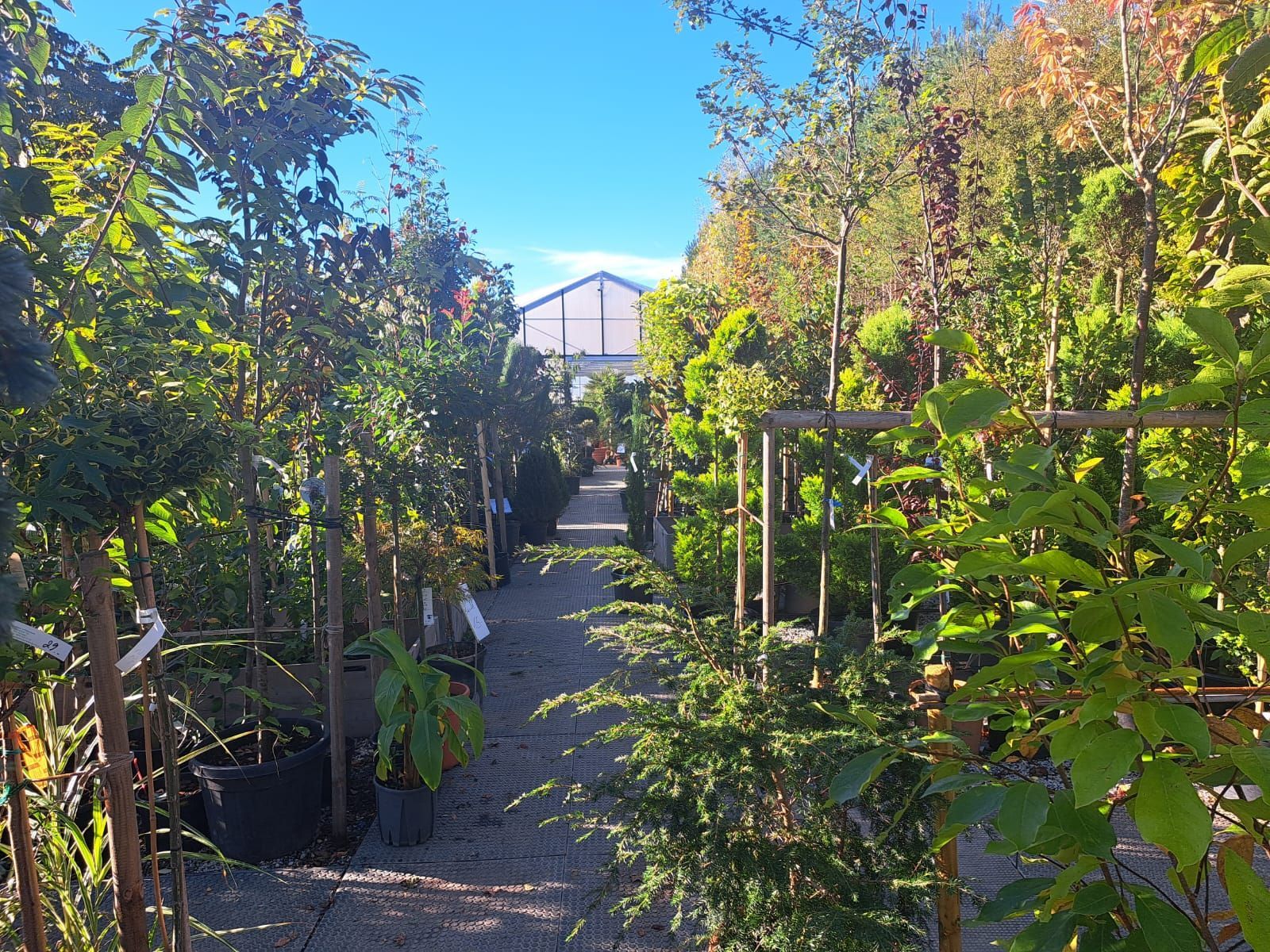 Eine Statue einer Frau, die auf einer Bank in einem Garten sitzt.