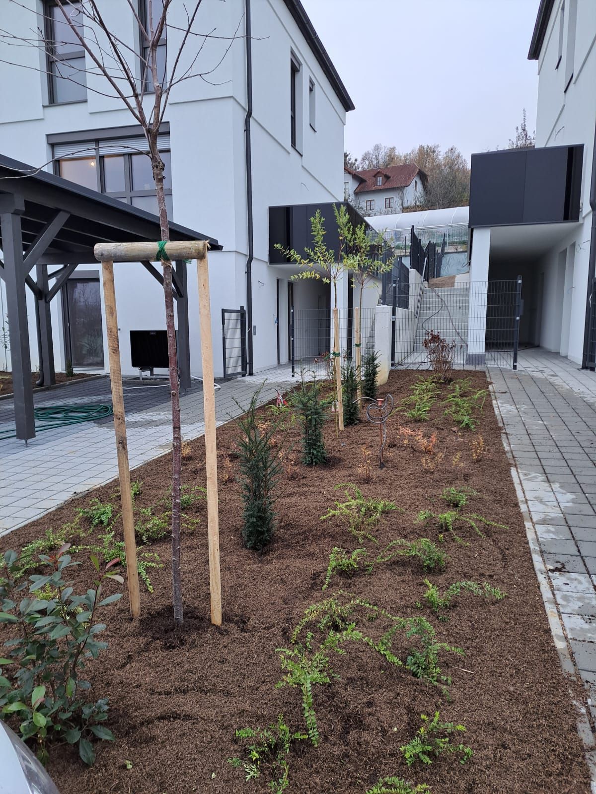 Eine Gesichtsstatue ist von Bäumen und Pflanzen in einem Garten umgeben.