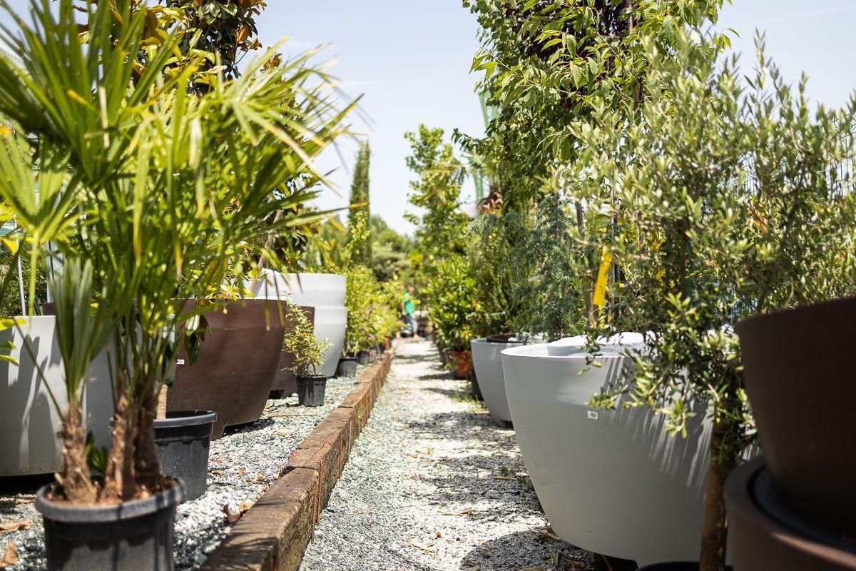 Ein Schild am Straßenrand sagt Hausmesse