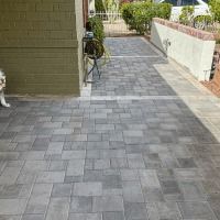 A dog is standing on a brick walkway next to a building.