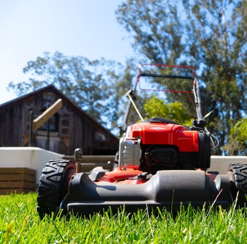 A red and black lawn mower is sitting in the grass