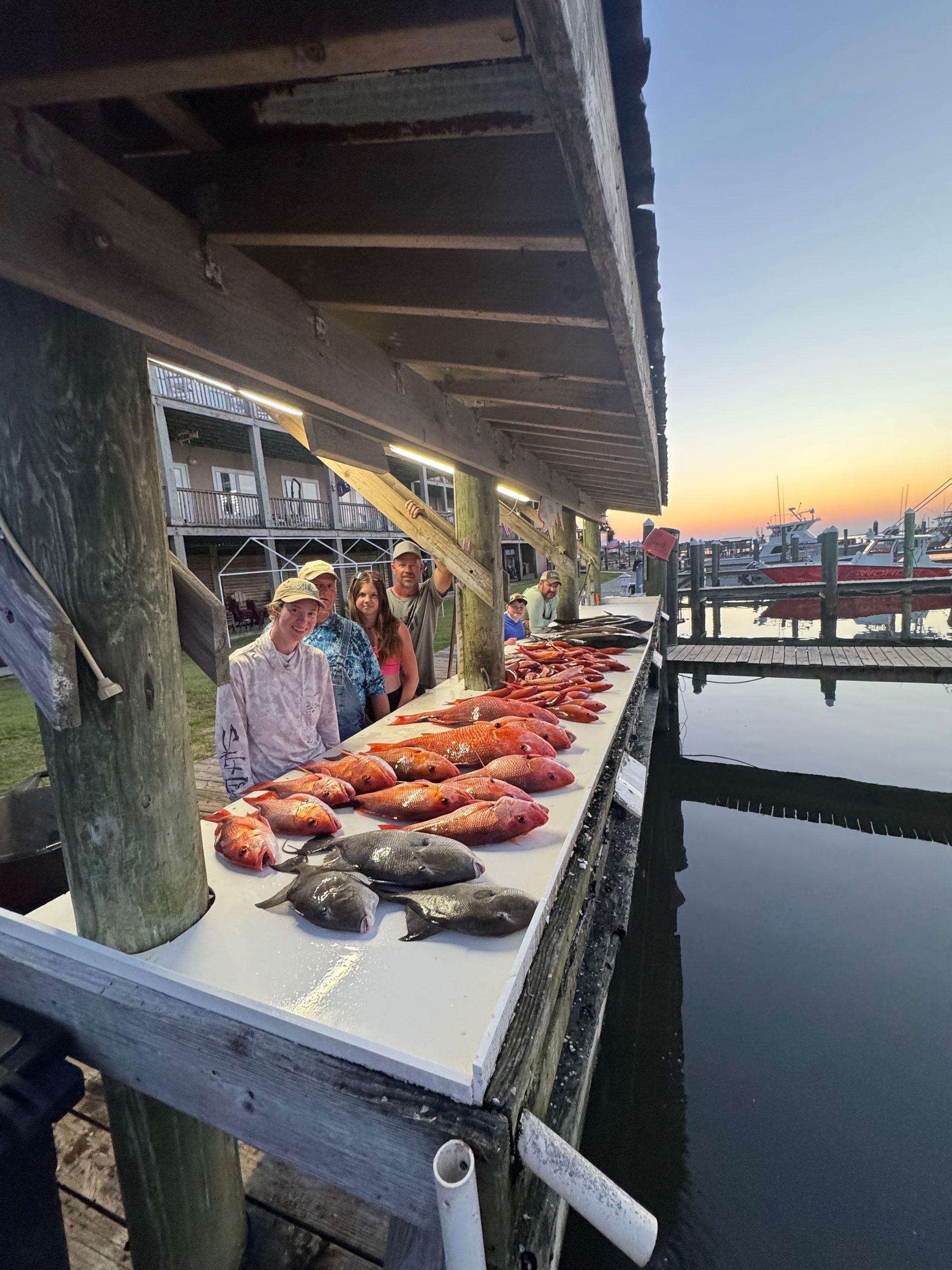 Seafood display at a dockside market at sunset, with fish laid out on a long table by the water.