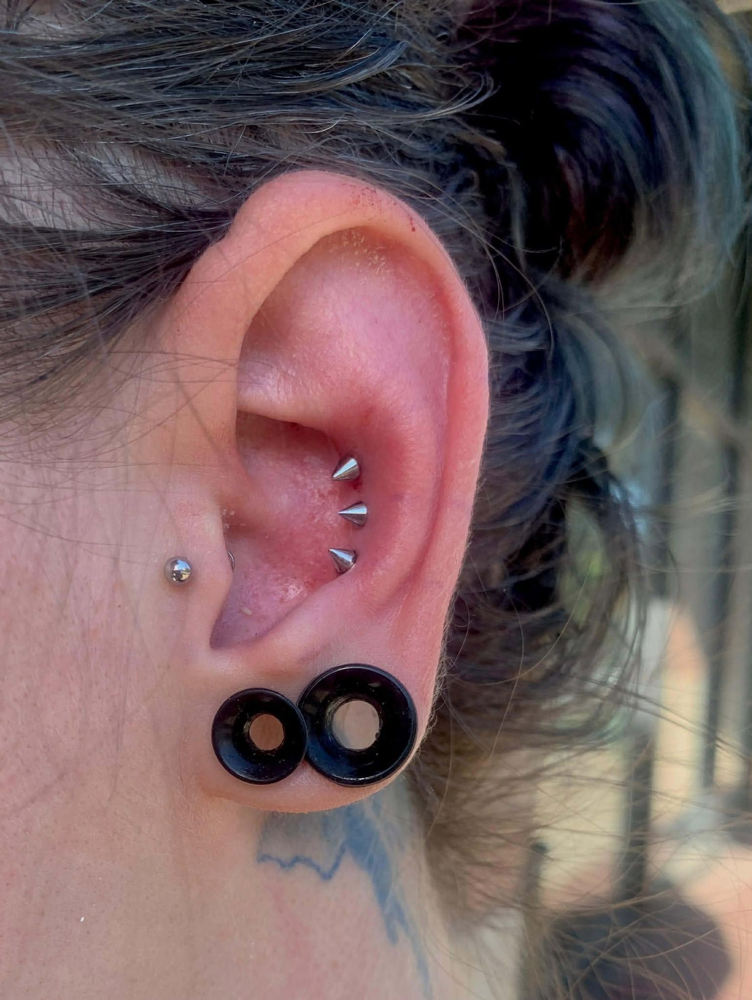 Close-up of ear with multiple piercings, including ear gauges. Dark hair and skin are visible.