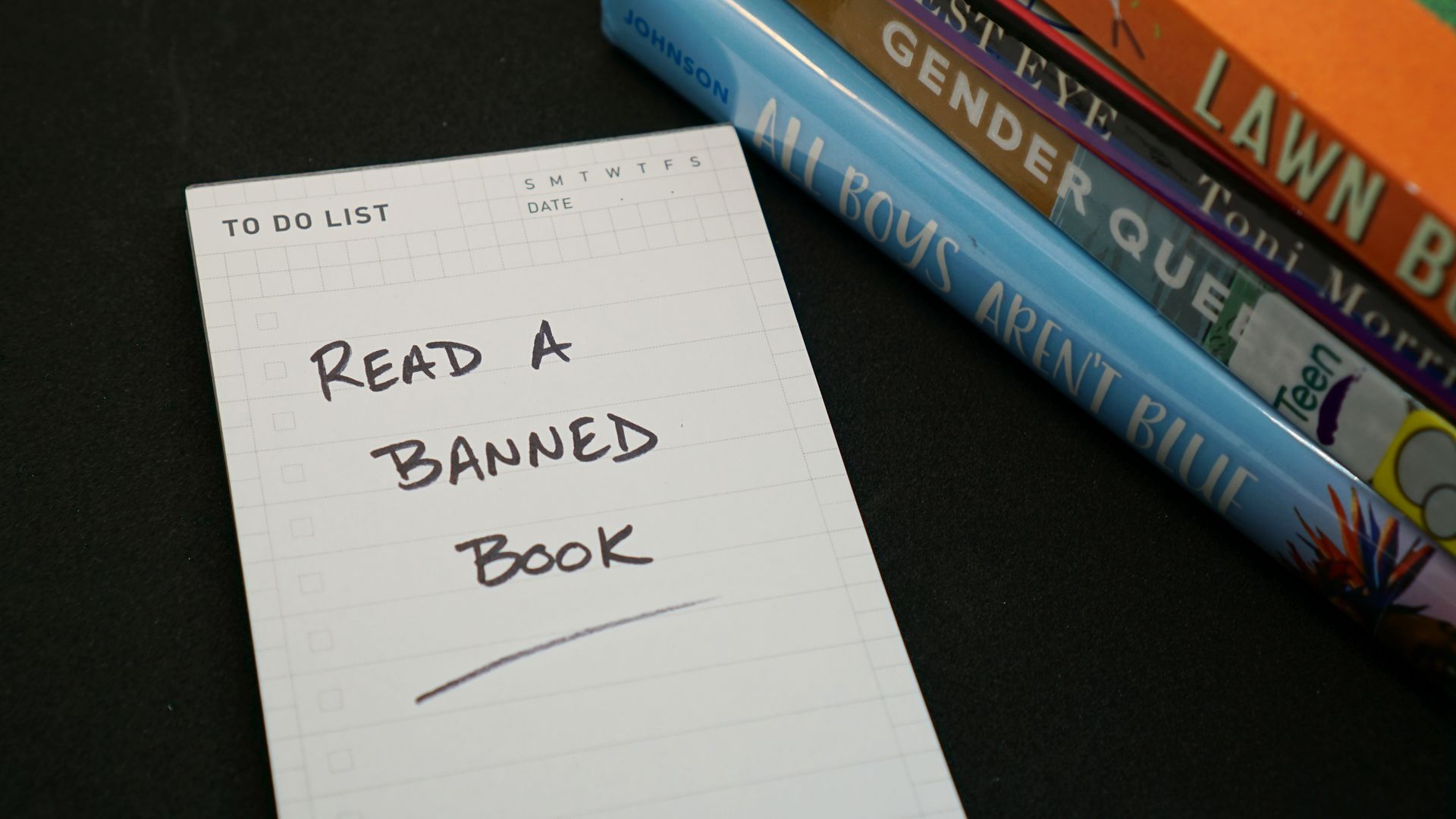 Books Unbanned