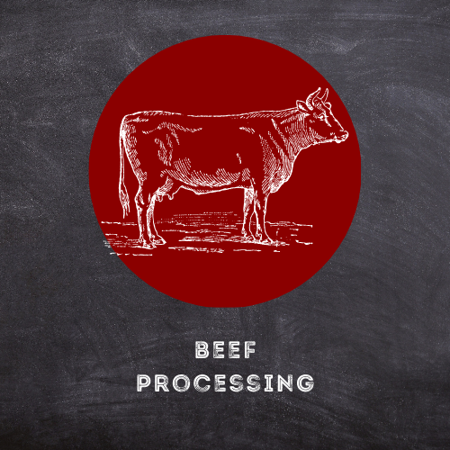 Beef Processing