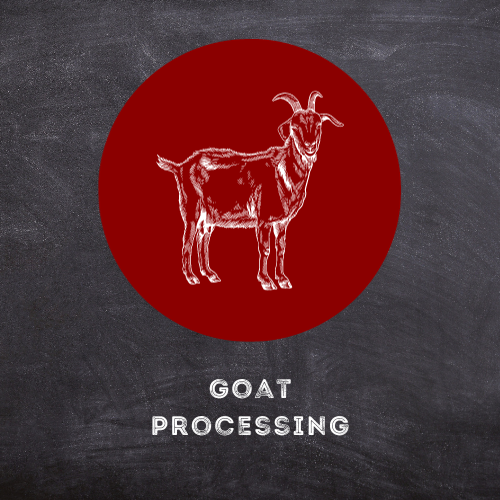 Goat Processing