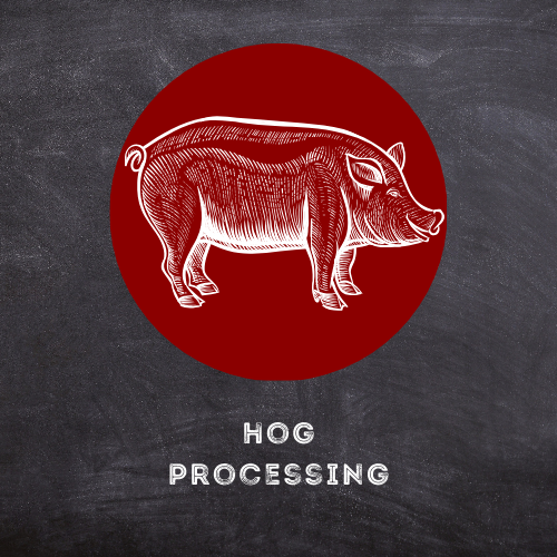 Hog Processing