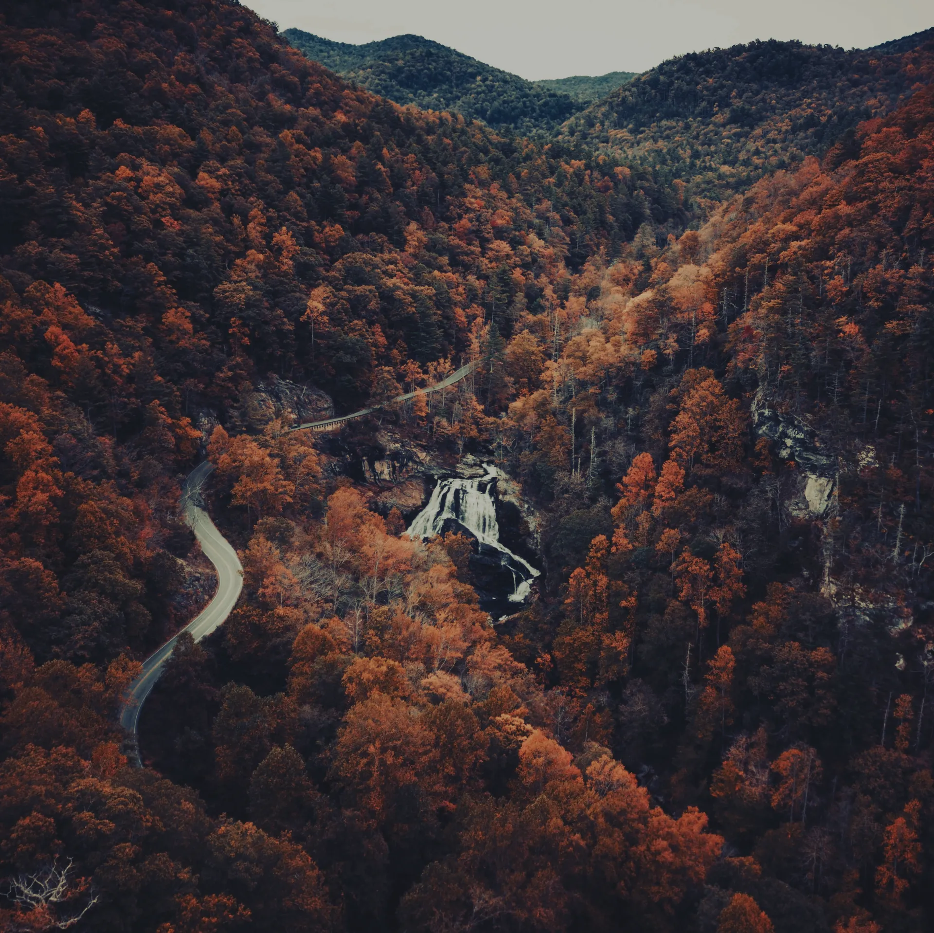 autumn canyon scenery with road
