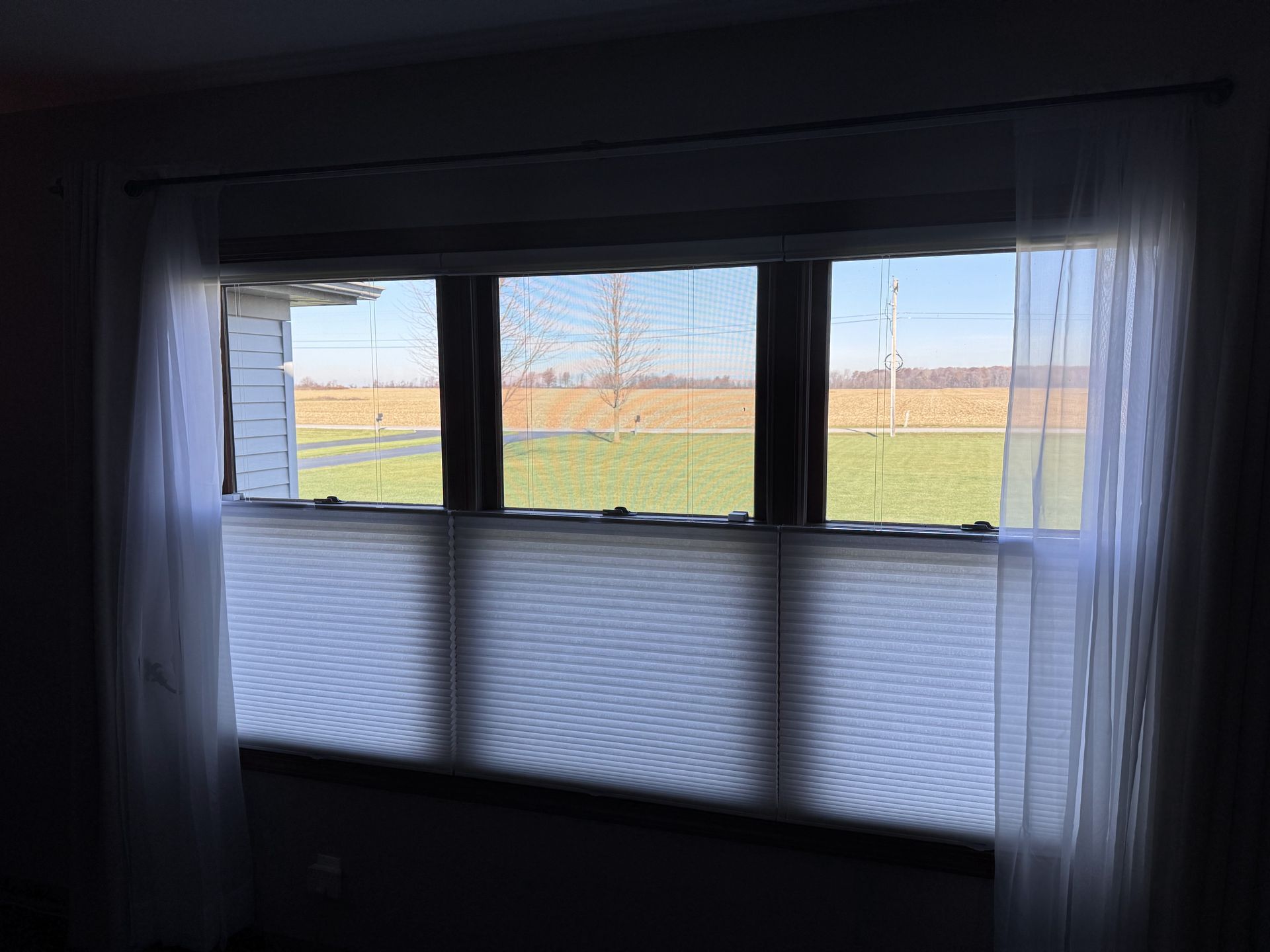 Window with white blinds and sheer curtains, overlooking a field.