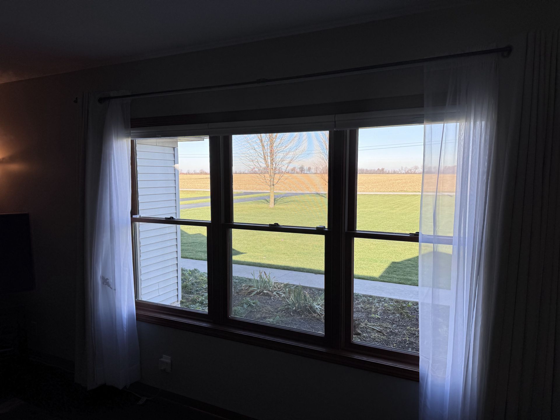 Window with sheer white curtains and a view of a grassy field and tree.
