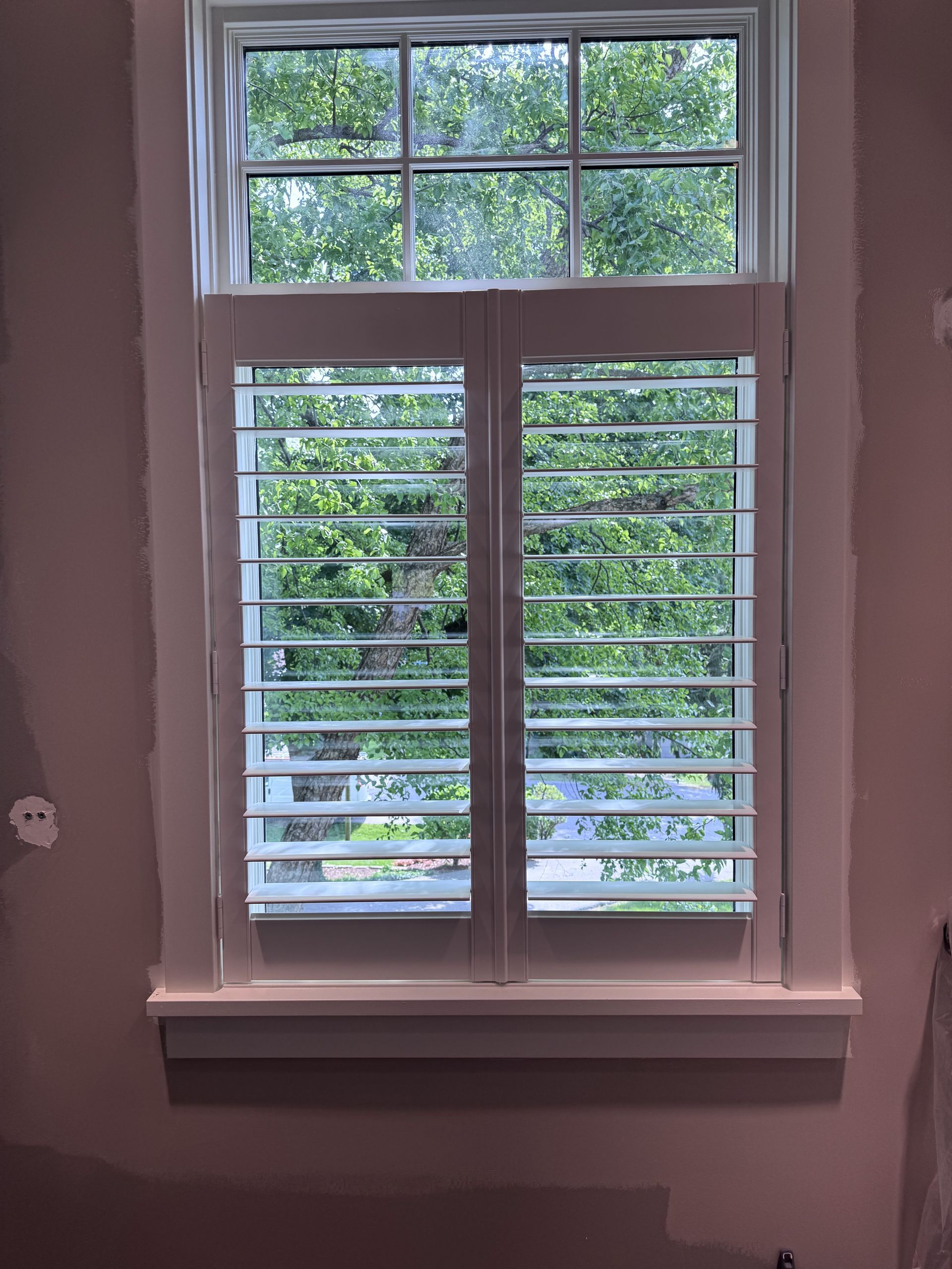Window with white shutters and a grid top pane, looking out onto green trees.