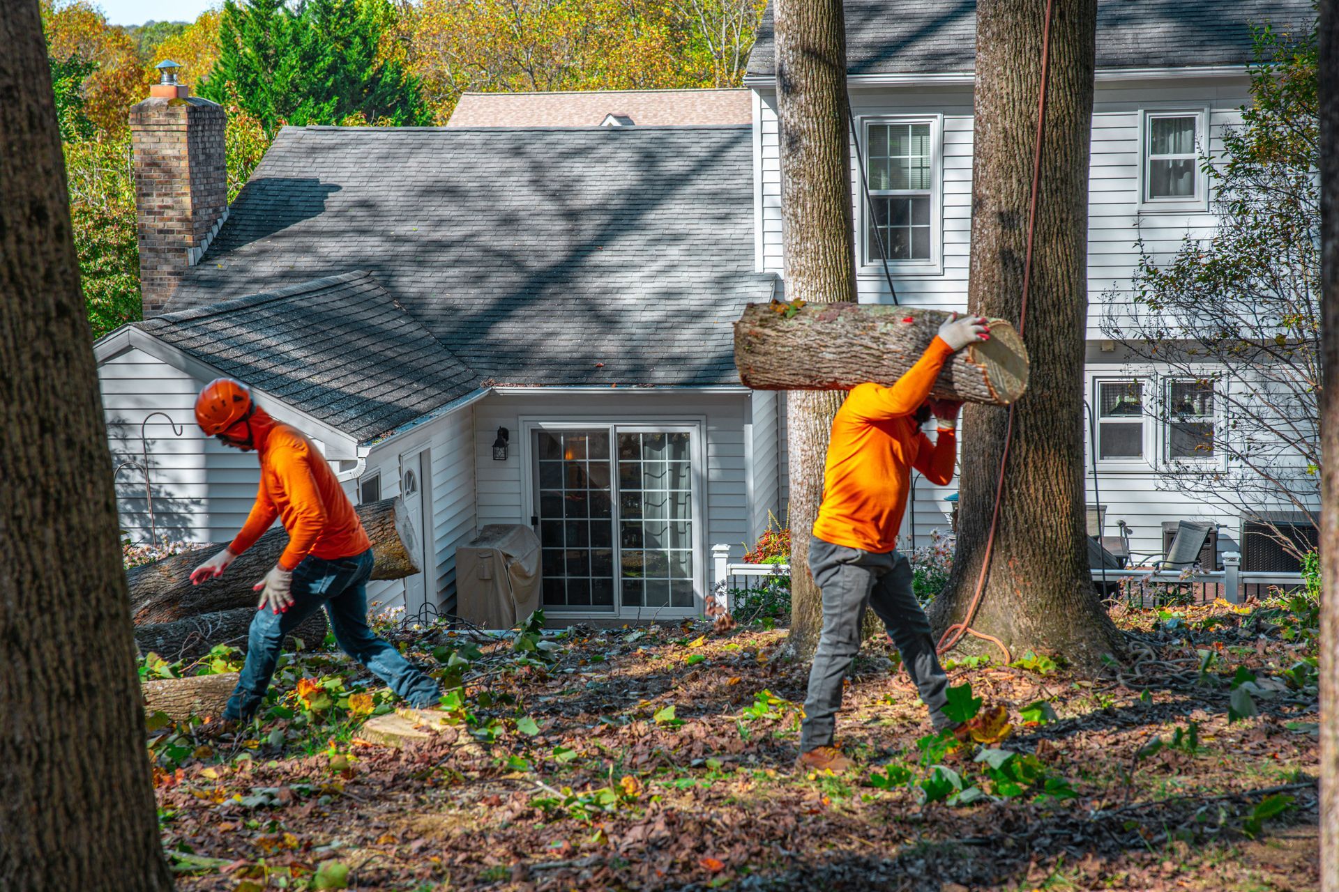 Two people in orange shirts work in a yard, carrying and clearing a log, near a white house.