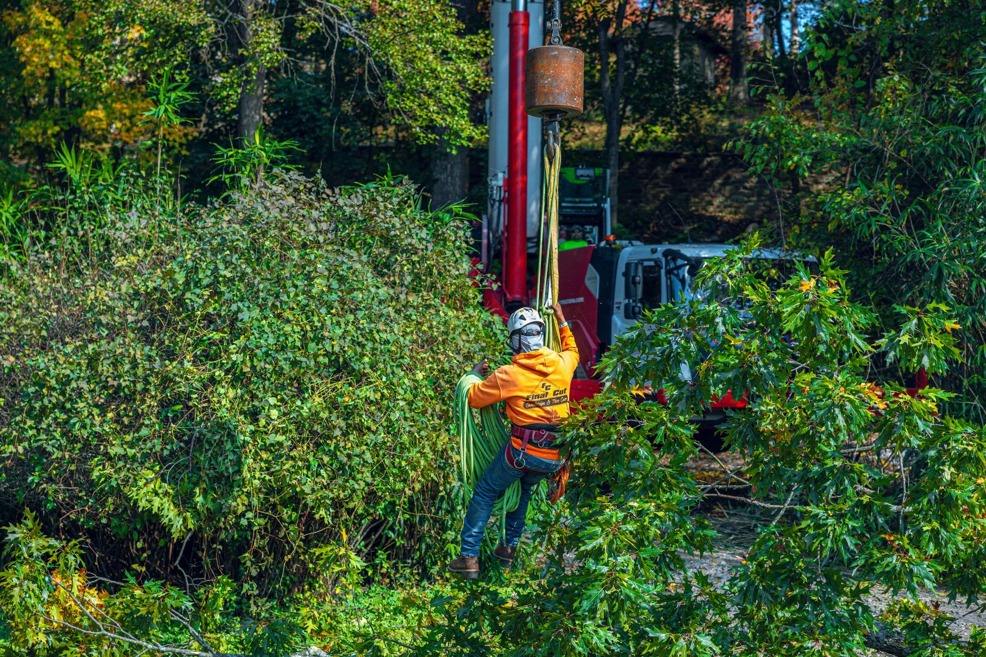 Arborist in orange jacket uses a crane to cut tree branches near a red truck.