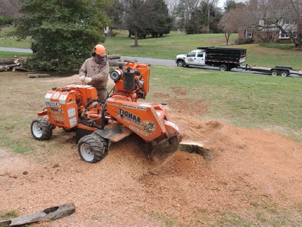 Yard work scene with a person operating a machine and trees in autumn colors.