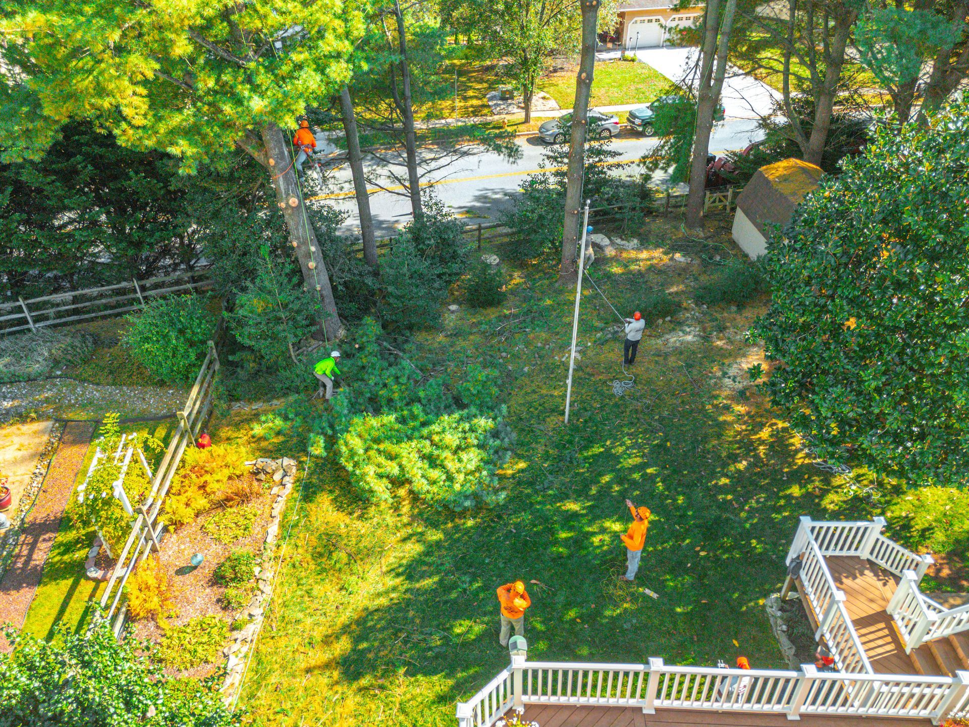 Tree service crew working in a backyard. Green trees, yellow safety vests, white deck and shed.