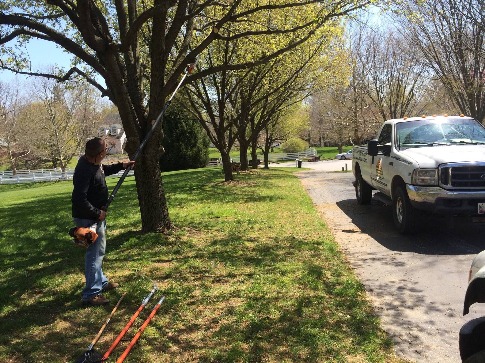 Man trimming a tree with a pole saw near a white truck on a sunny day.