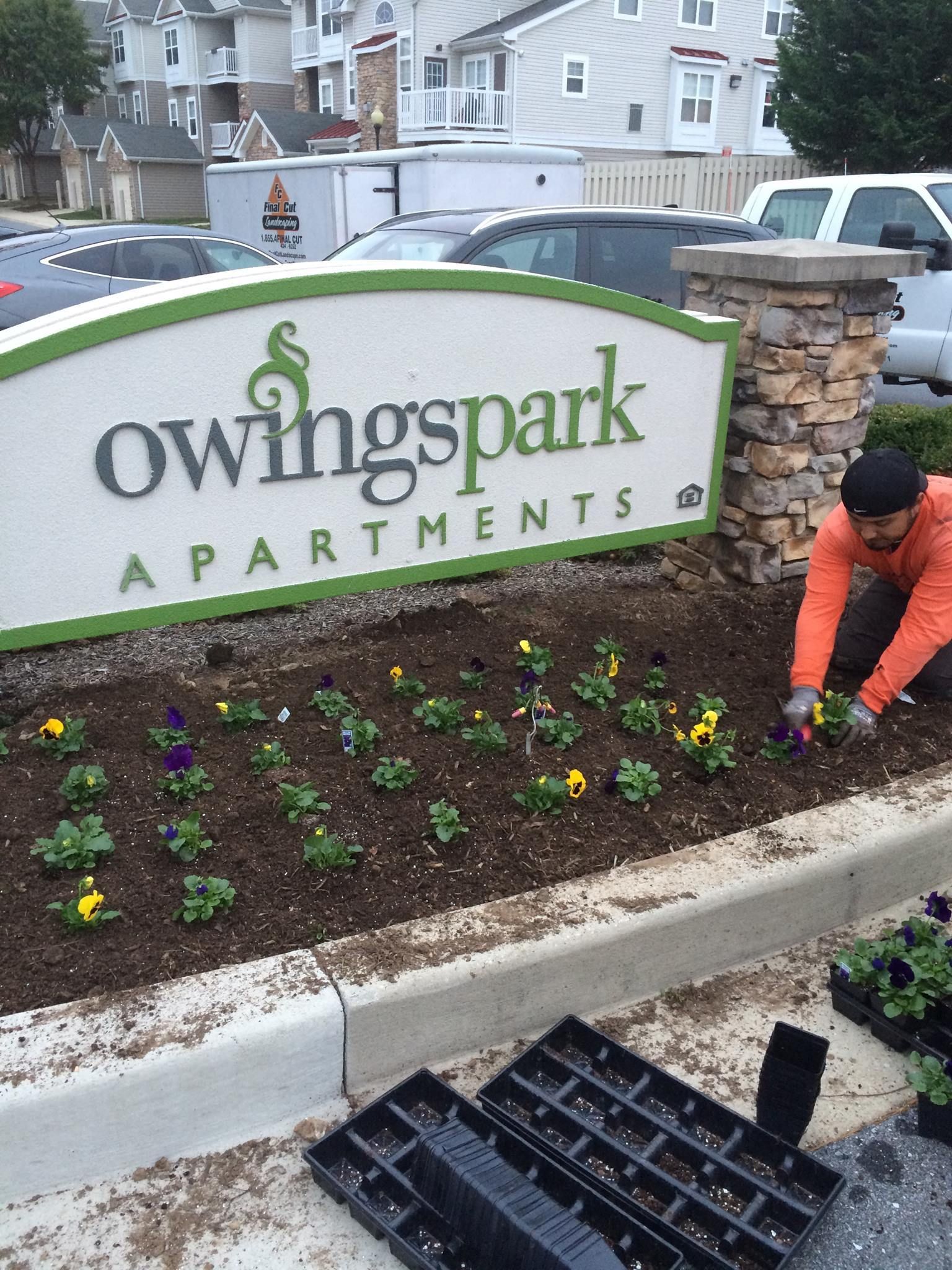 Man planting flowers at 