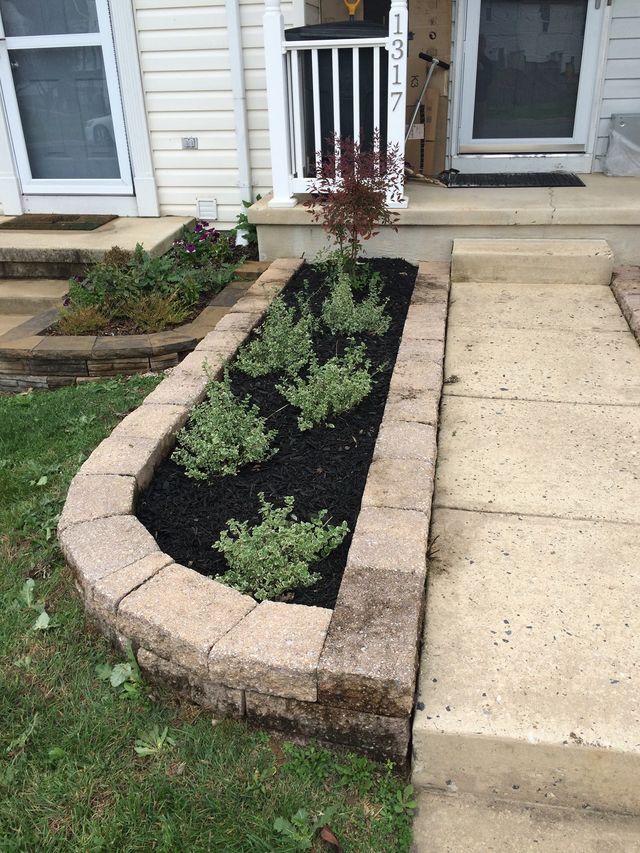 Stone-edged flower bed beside concrete steps, filled with dark mulch and green plants, near a white house.