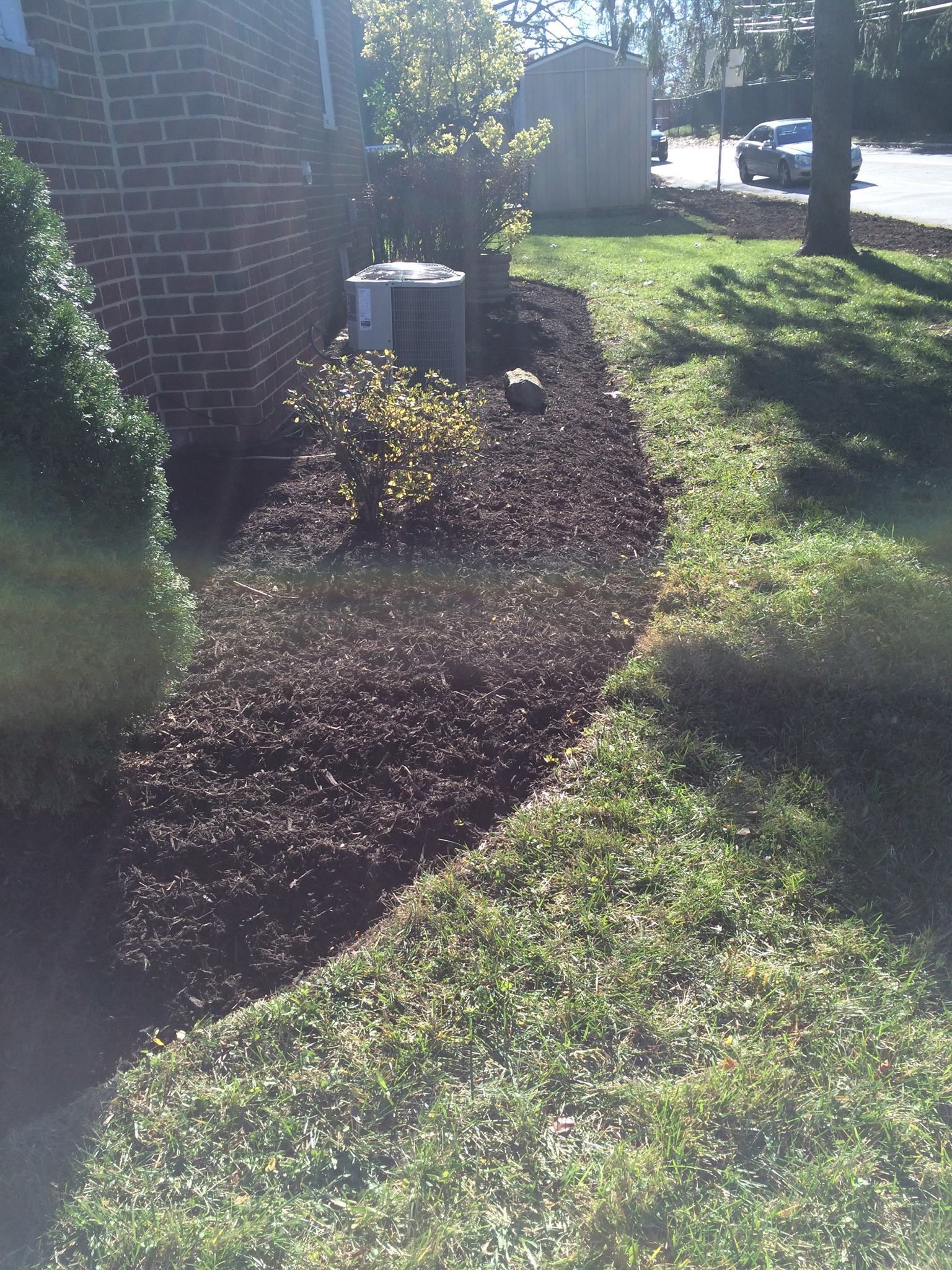 A garden bed with dark mulch beside a lawn. A building and AC unit are visible.