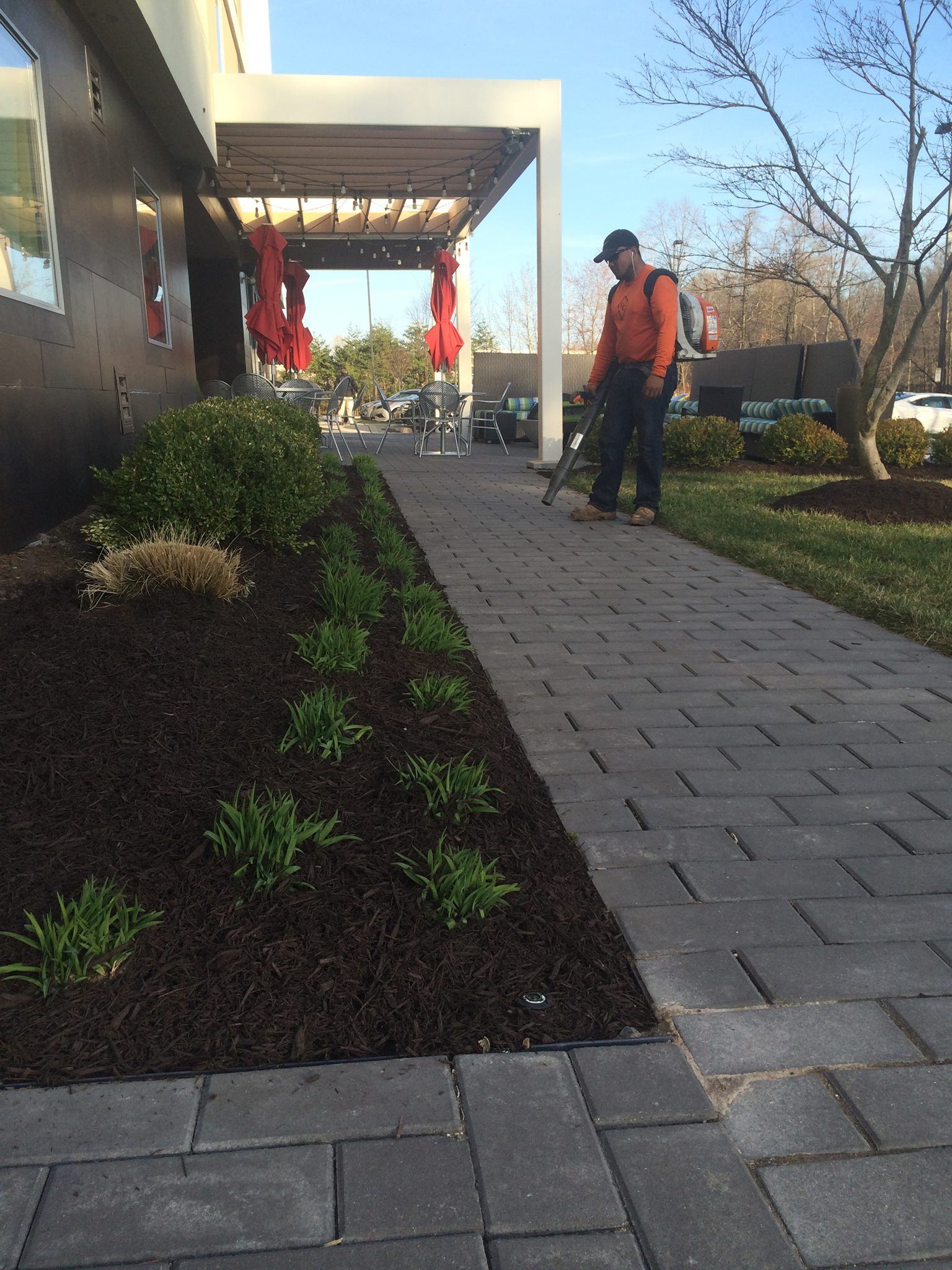 Person spraying a weed killer along a brick walkway next to a landscaped garden, under a pergola.