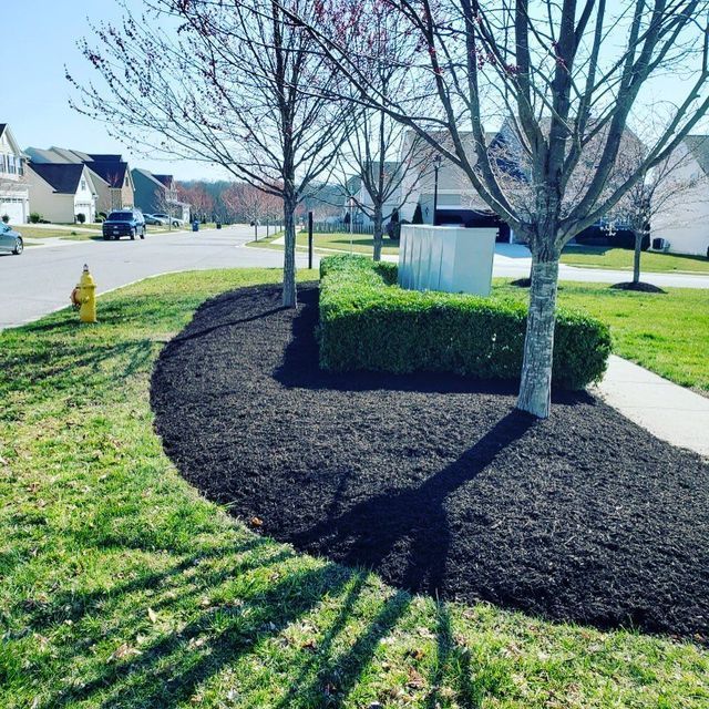 Landscaped median with trees, hedge, and black mulch in suburban neighborhood.
