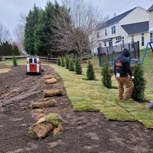 Person laying sod in a backyard, beside a line of newly planted trees. A skid steer is visible.
