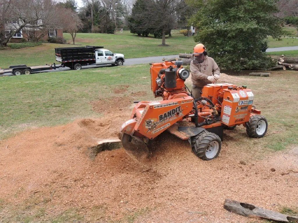 Man operating a stump grinder on a lawn, creating wood chips. A truck and trailer are in the background.