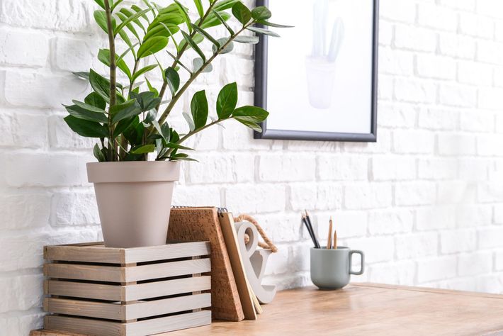 A potted plant is sitting on top of a small  wooden crate on a wooden desk.