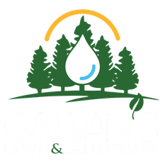 Logo for Galvan's Lawn & Landscape: Trees and water droplet with a leaf. Text is black and green.