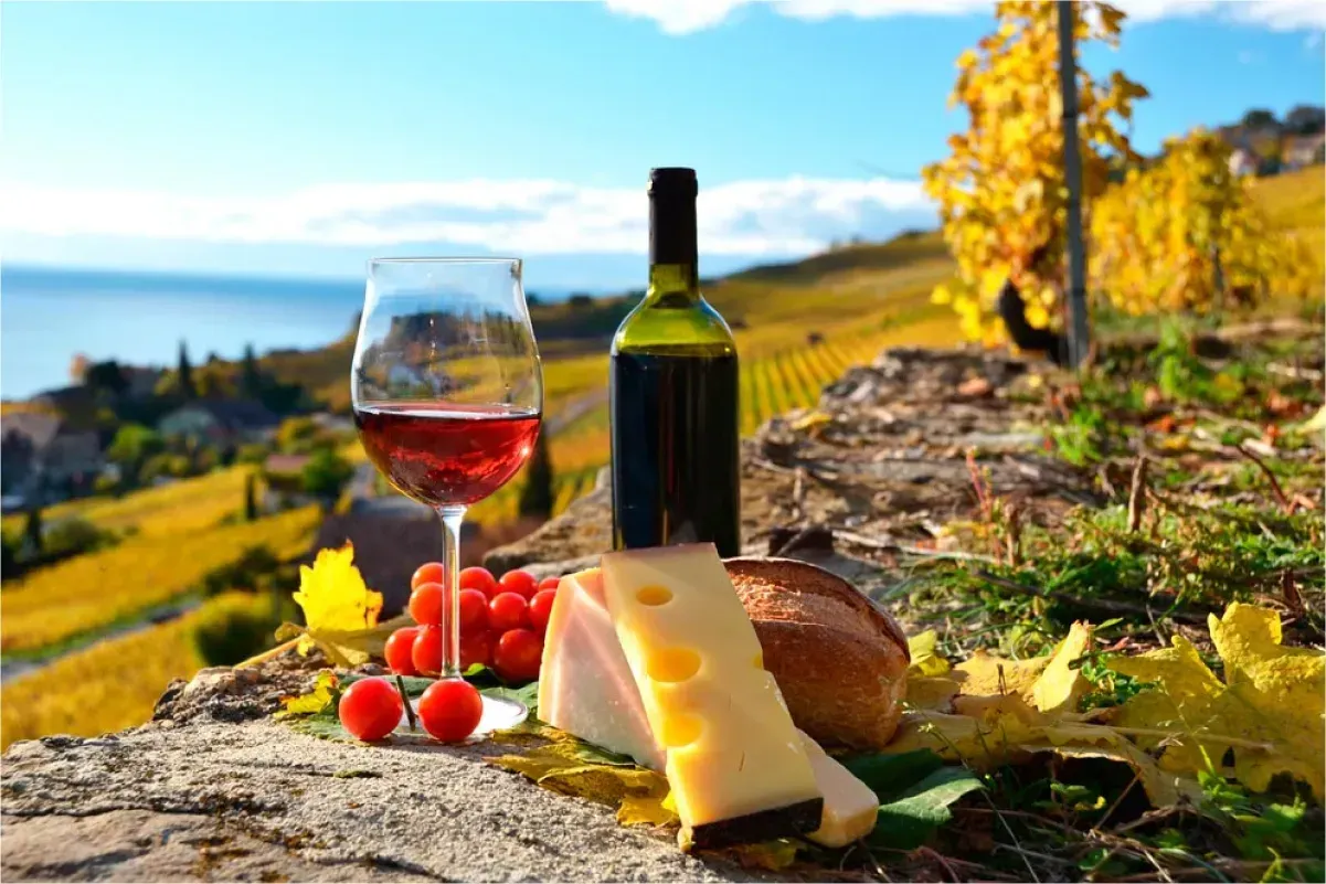 Vino, queso, uvas y pan se encuentran en un muro de piedra con vistas a un viñedo y un lago.