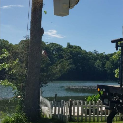 A fenced in yard with a lake in the background