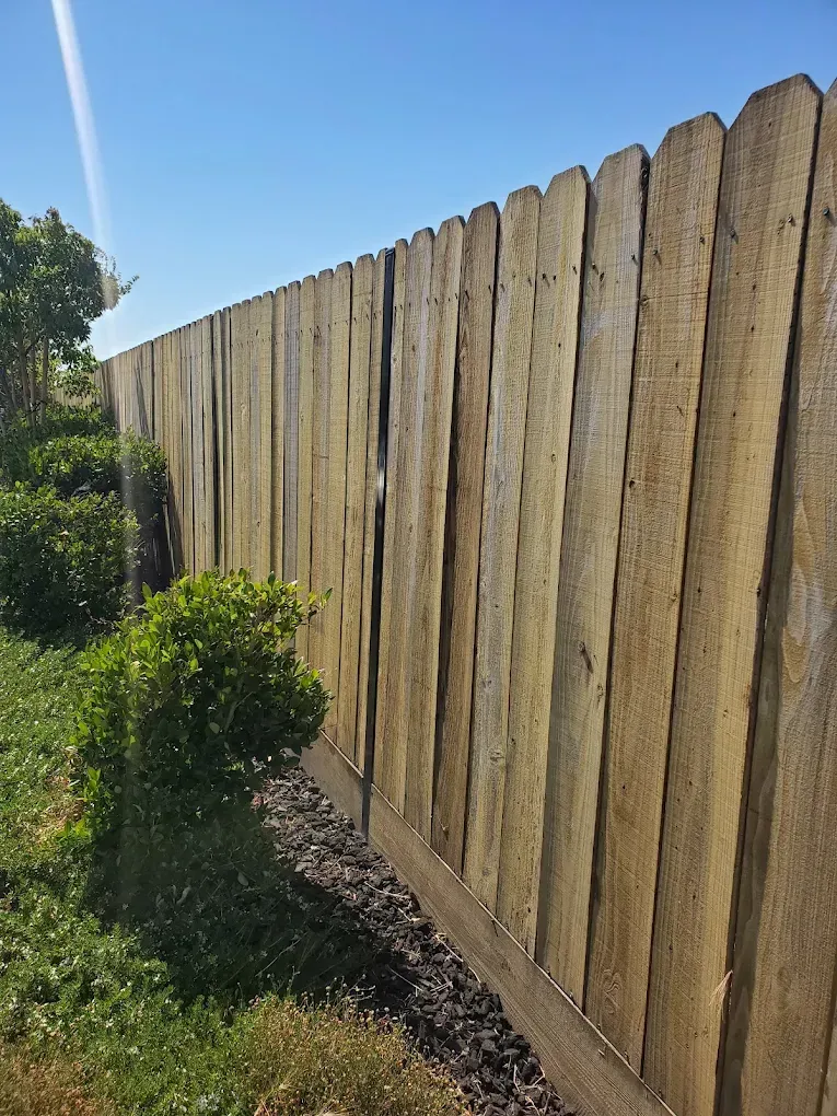 A tall, weathered wooden privacy fence runs diagonally across the frame against a clear blue sky, next to green bushes.