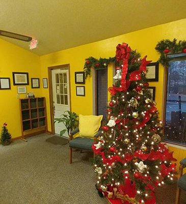 christmas decoration in home care