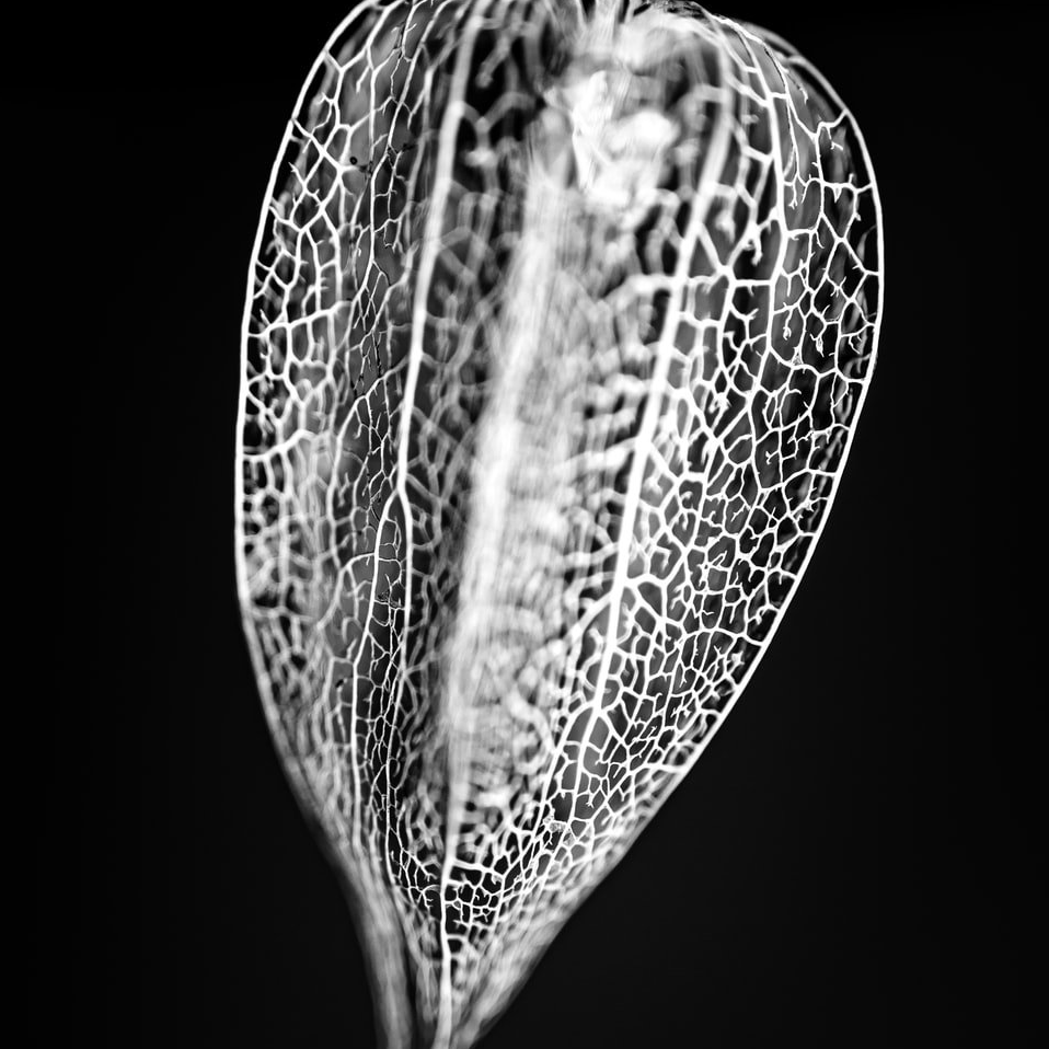 Close up of part of a camera.