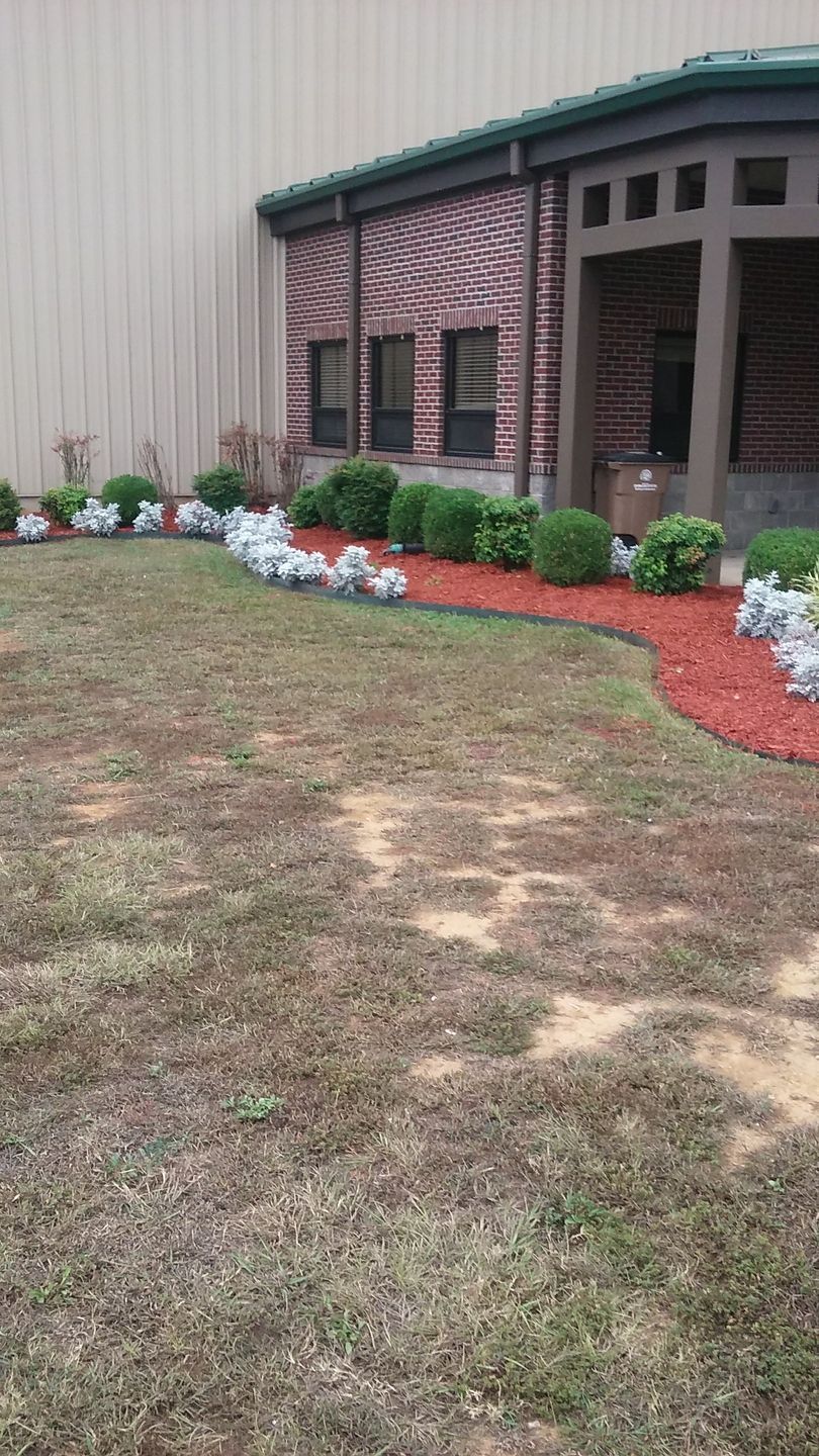 cleaning services 29