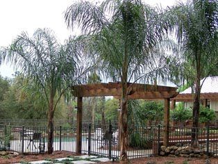 Pool Area with iron fence - Fencing in Ocala, FL