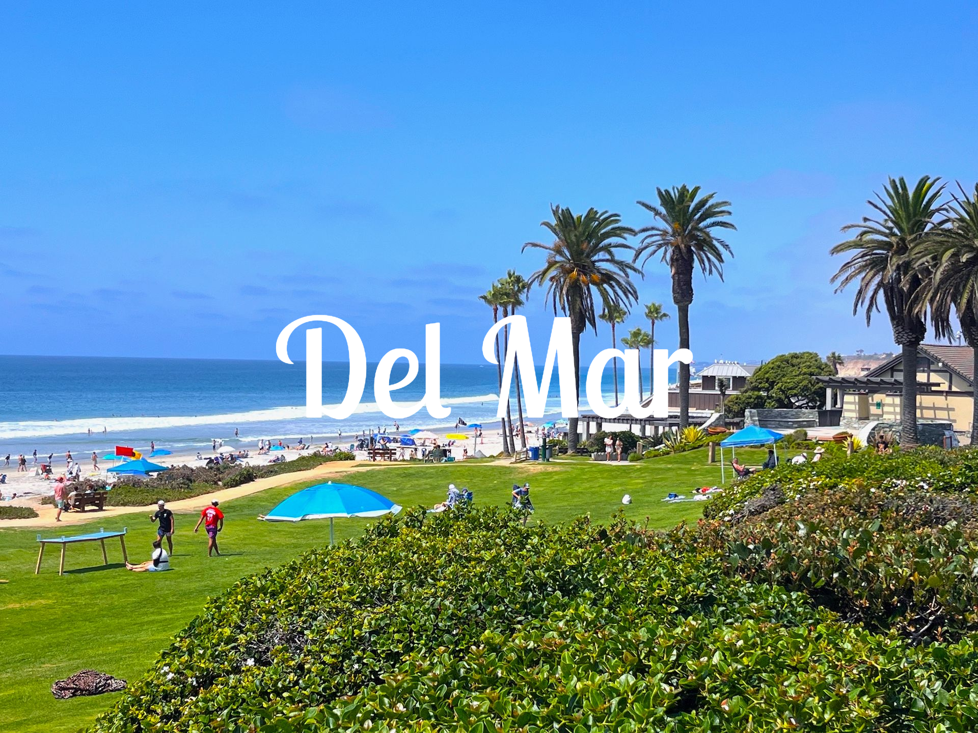 Powerhouse Park at Del Mar beach with a view of the rolling grassy hills.