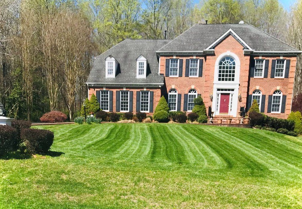 House With Beautiful Landscape
