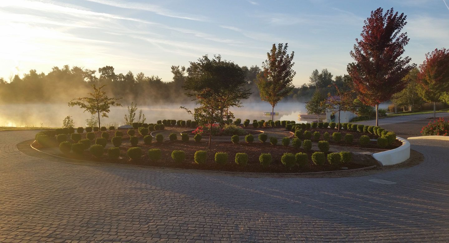 A foggy park with trees and bushes in a circle