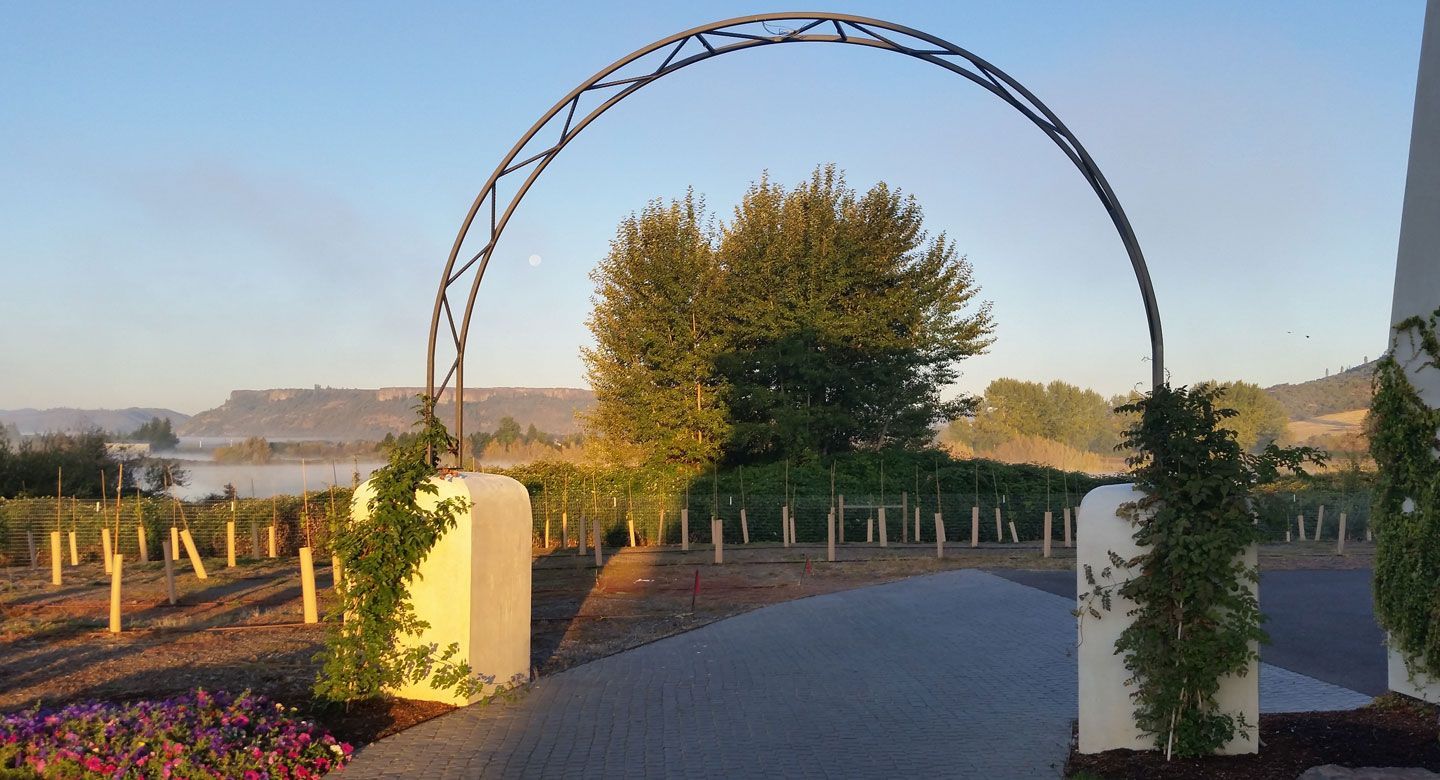 A large archway leading to a vineyard with a blue sky in the background.